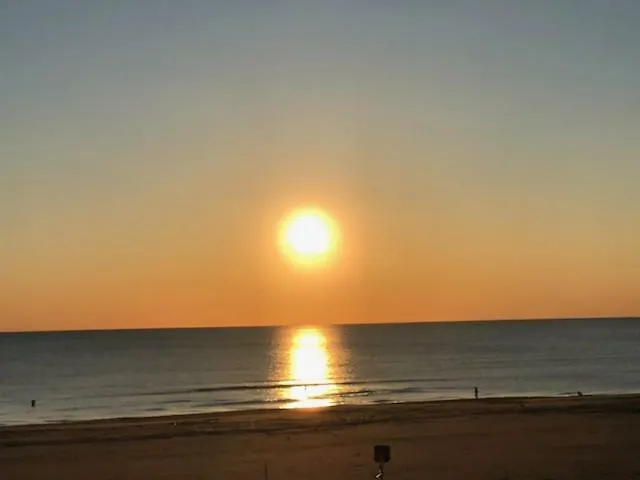 Apartment Attico Sulla *